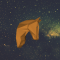 EThorseとは